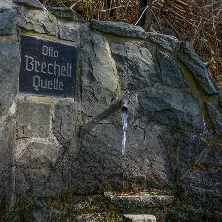 Bergnest- Stylische, Gemuetliche Mit Sauna アパート *