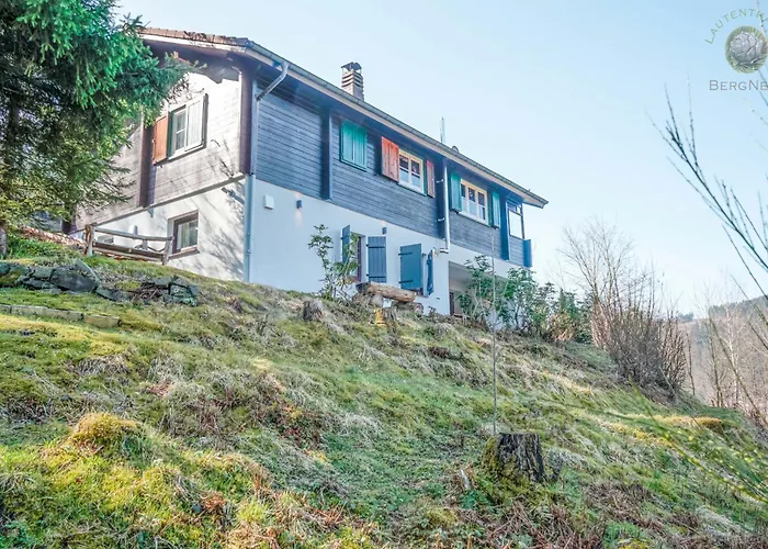 Bergnest- Stylische, Gemuetliche Mit Sauna Daire Langelsheim